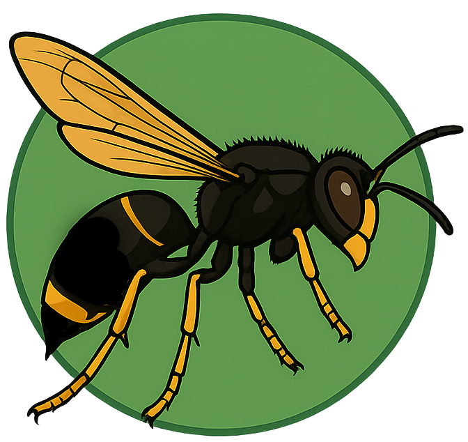 Irish Asian Hornet Group Logo