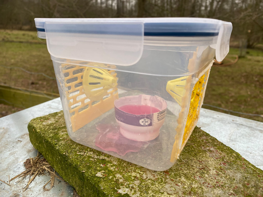 Homemade monitoring station construction diagram showing storage container with queen excluder and cones
