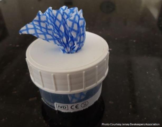 Jar with wick for lure placement
